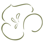 segolilyspa logo
